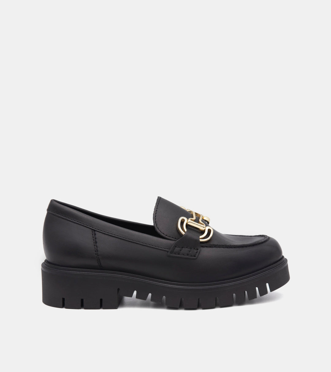 Licca　Pothos barberianus 黒タイプ 他計4点 Licca様専用 Pothos barberianus 黒タイプ 他計4点